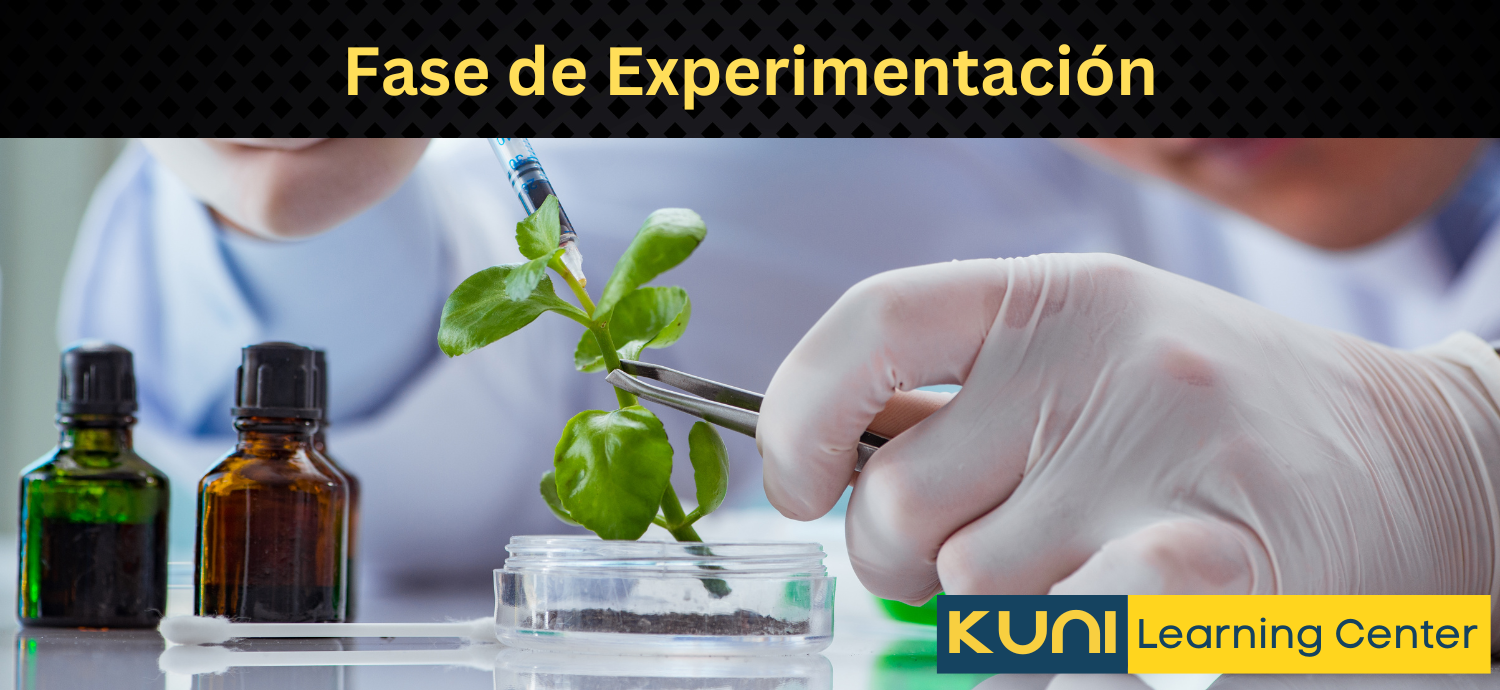 La Fase de Experimentación