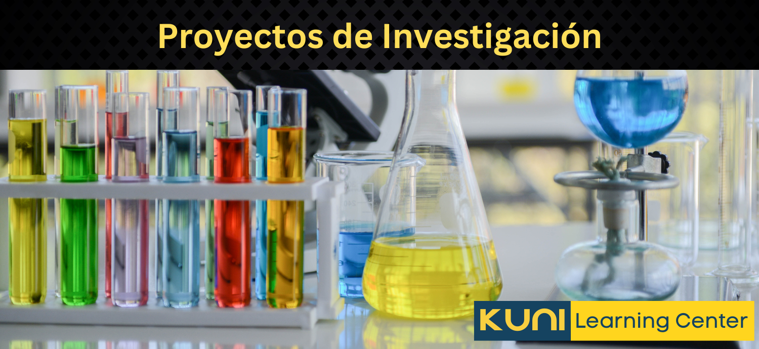 Proyectos de Investigacion